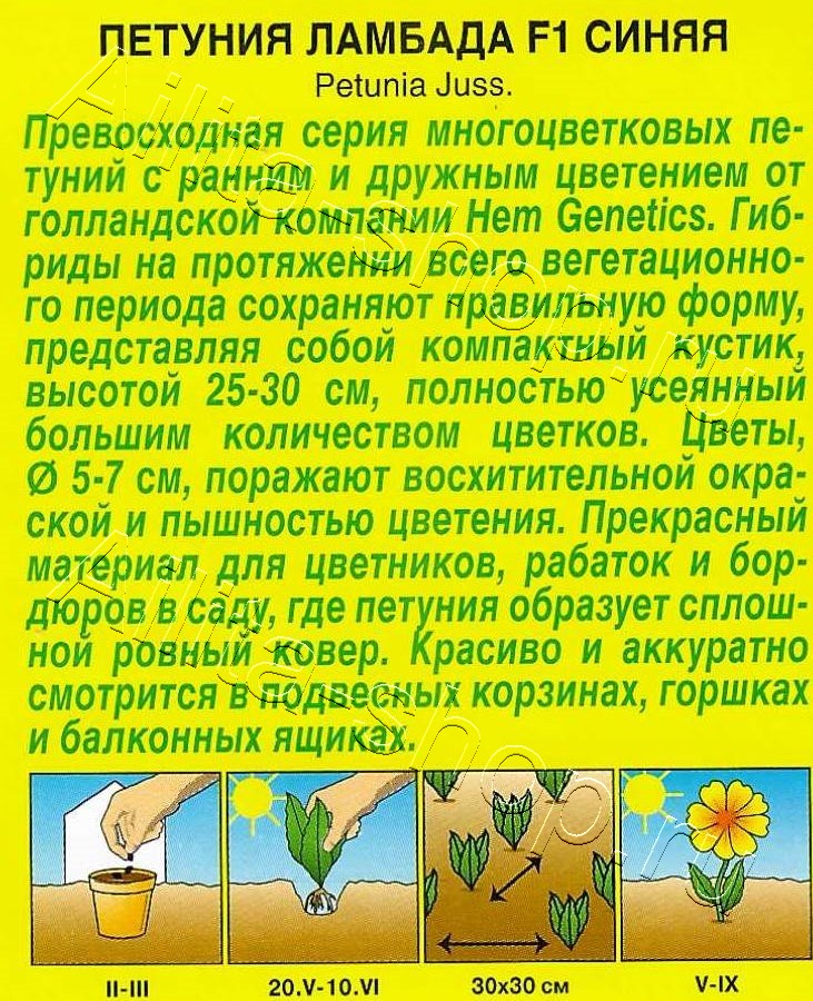 Петуния Ламбада F1 синяя многоцветковая 7шт