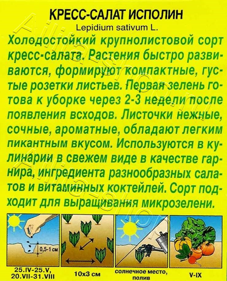 Кресс-салат Исполин 1г