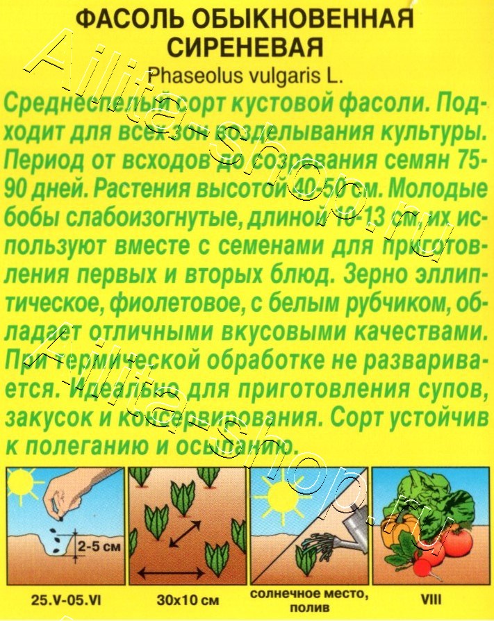 Фасоль обыкновенная Сиреневая 5г
