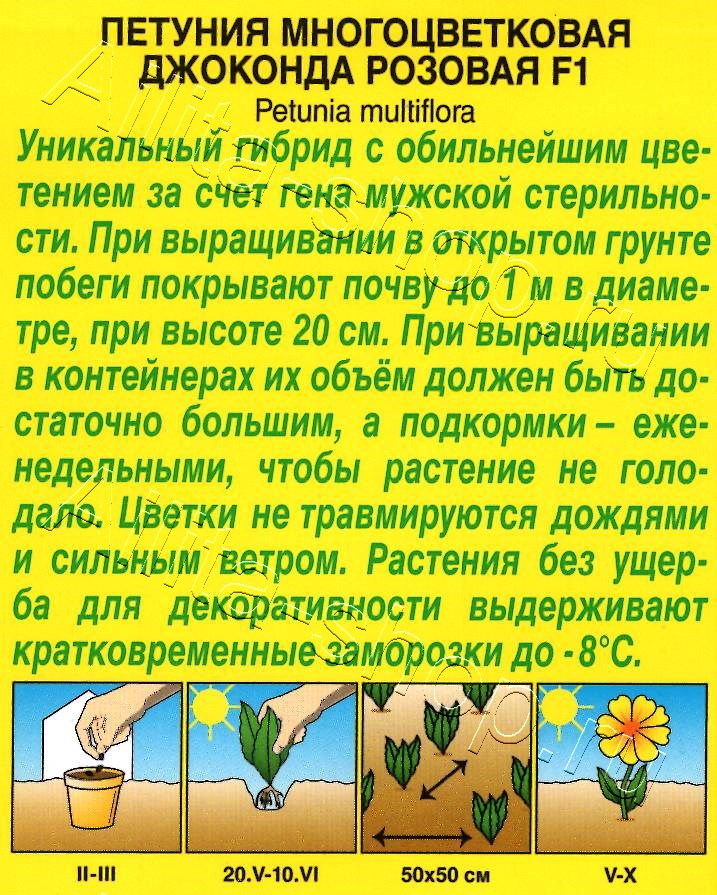 Петуния Джоконда F1 розовая 5шт