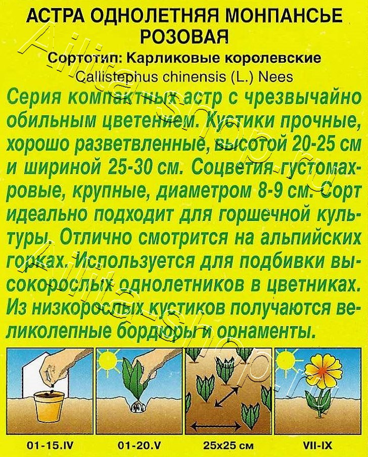 Астра Монпансье розовая 0,2г