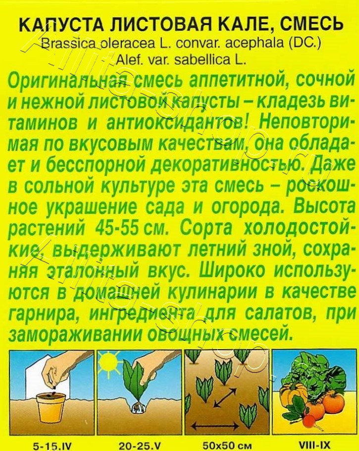 Капуста листовая Кале, смесь 0,3г