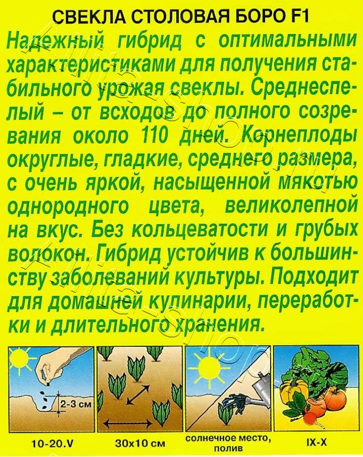 Свекла столовая Боро F1 50шт