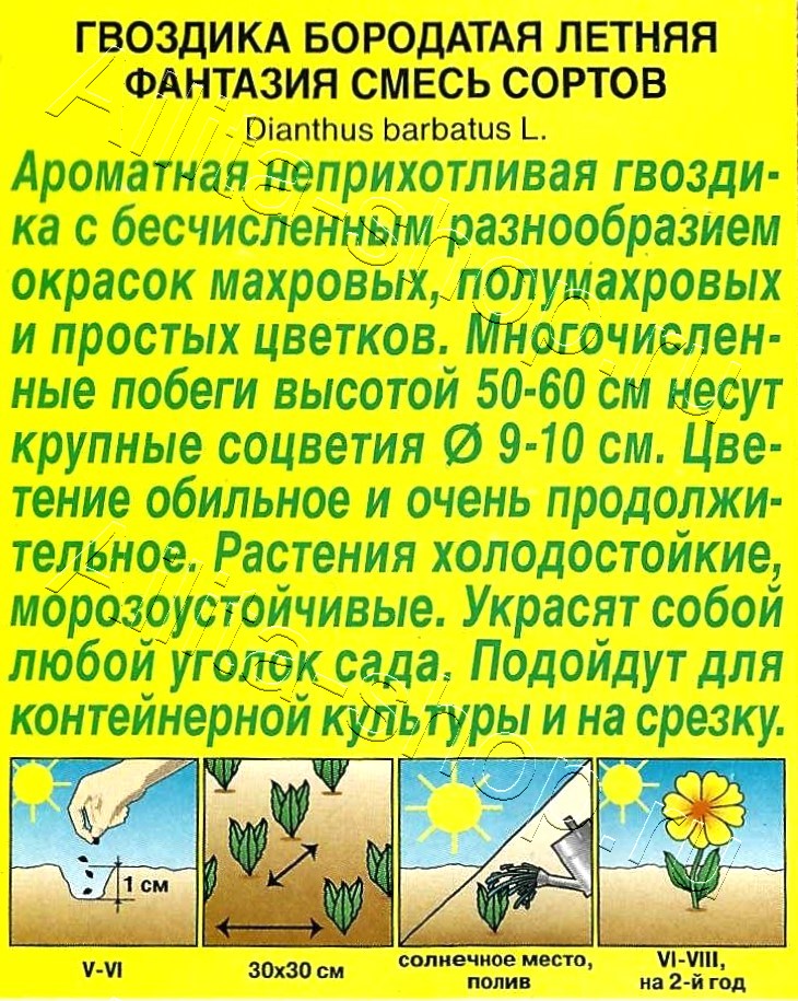 Гвоздика Летняя фантазия, смесь сортов 0,1г