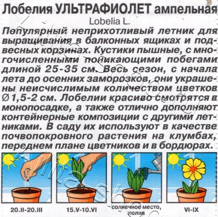Лобелия Ультрафиолет ампельная 0,05г
