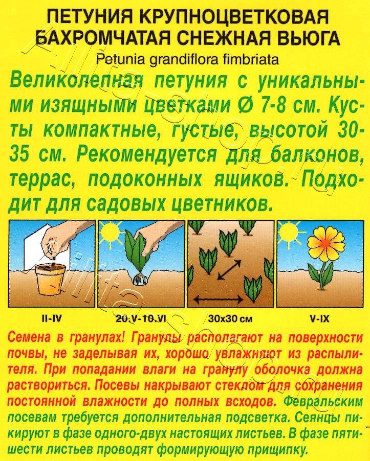 Петуния Снежная вьюга крупноцветковая бахромчатая 10шт