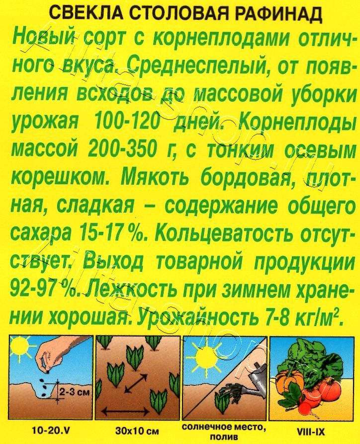 Свекла столовая Рафинад 3г