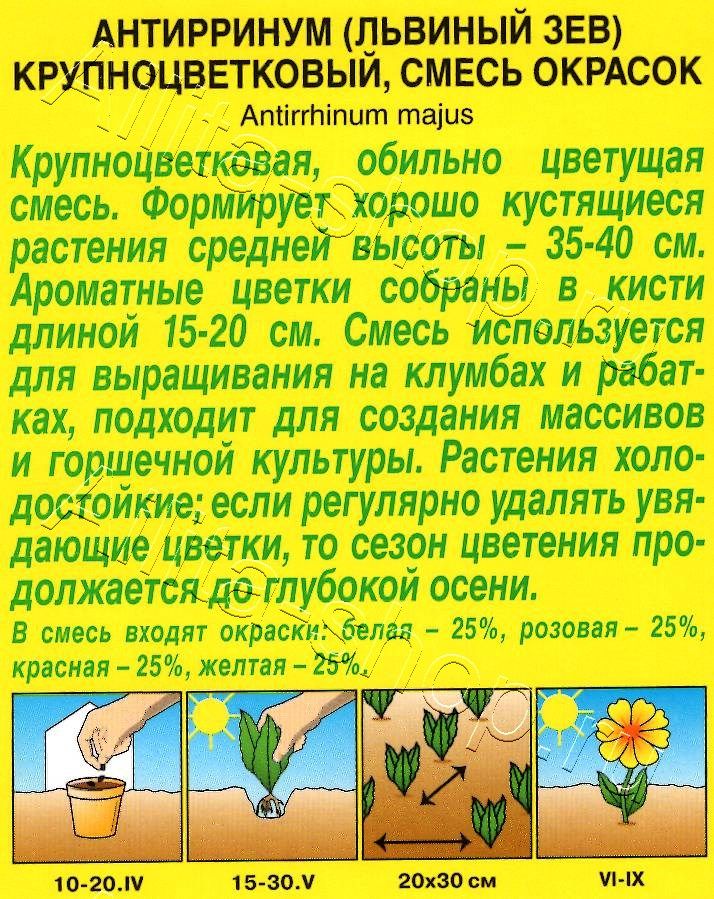 Львиный зев Крупноцветковый, смесь окрасок 0,3г