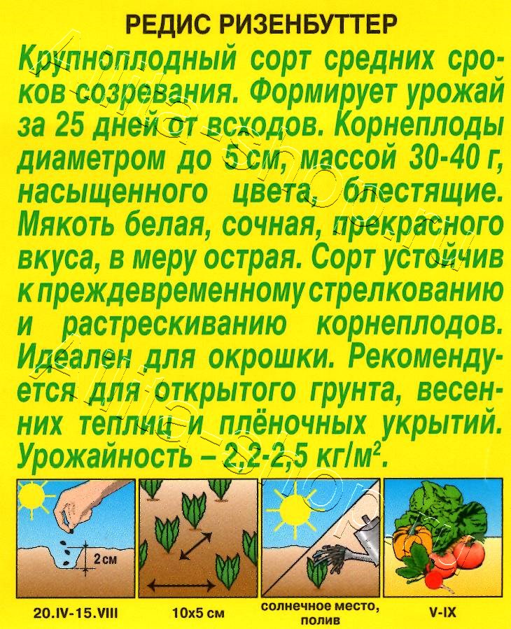 Редис Ризенбуттер 2г