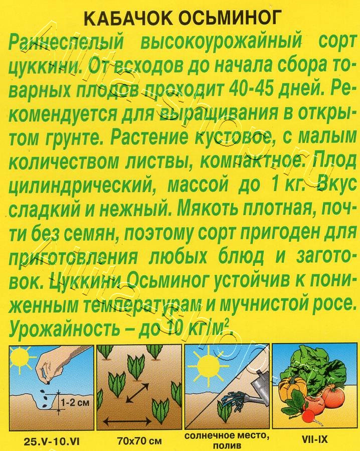 Кабачок цуккини Осьминог 1г