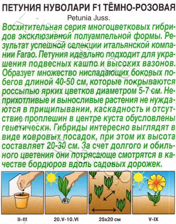 Петуния Нуволари F1 полуампельная тёмно-розовая 5шт