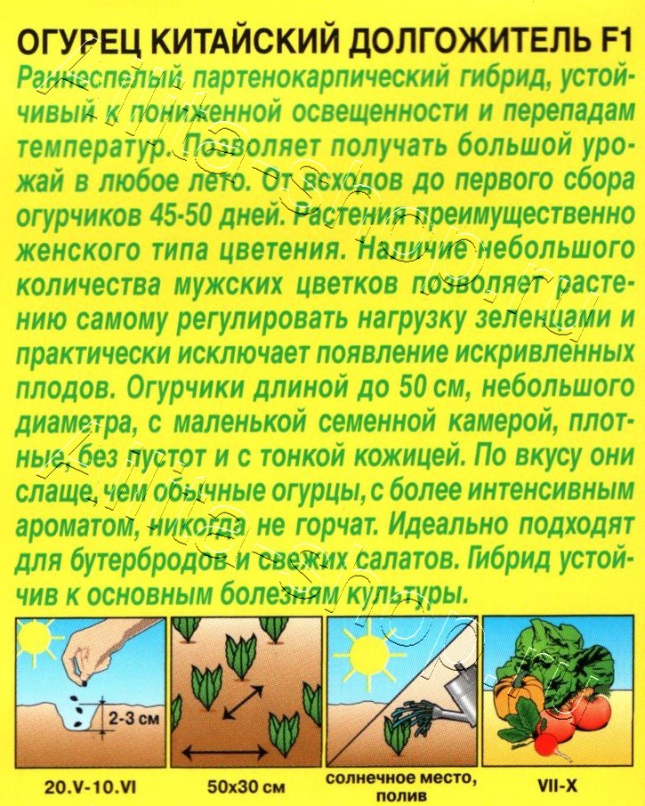 Огурец Китайский долгожитель F1 10шт