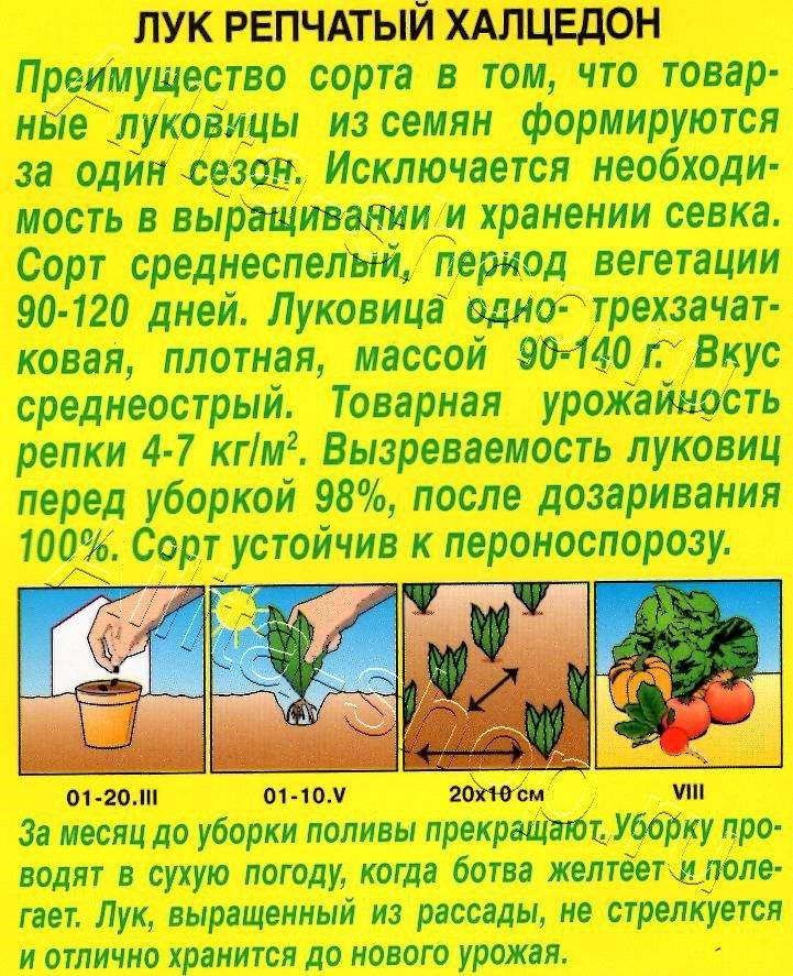 Лук репчатый Халцедон 1г