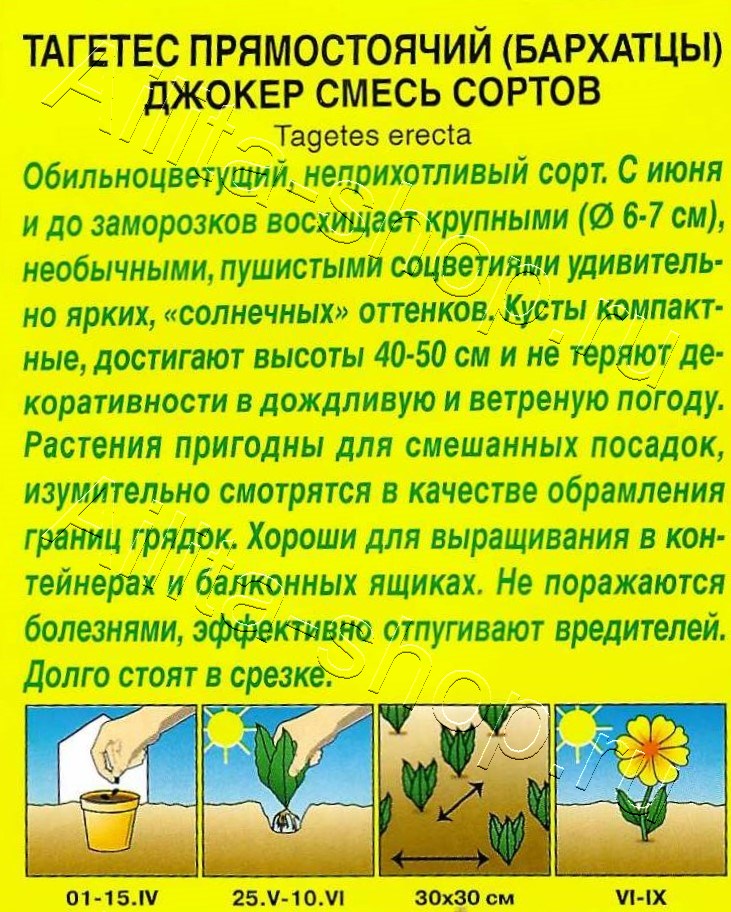 Бархатцы Джокер, смесь сортов 0,1г