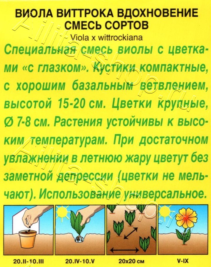 Виола Вдохновение, смесь окрасок 0,1г