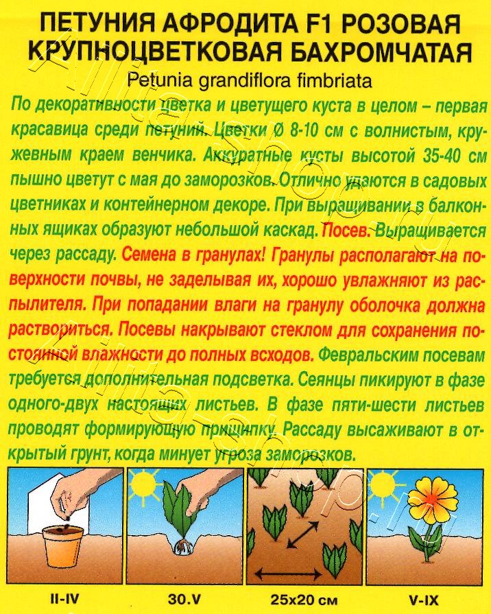 Петуния Афродита F1 розовая крупноцветковая 7шт