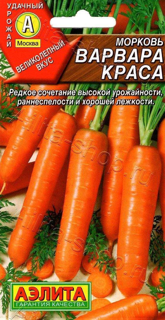 Морковь Варвара краса 2г