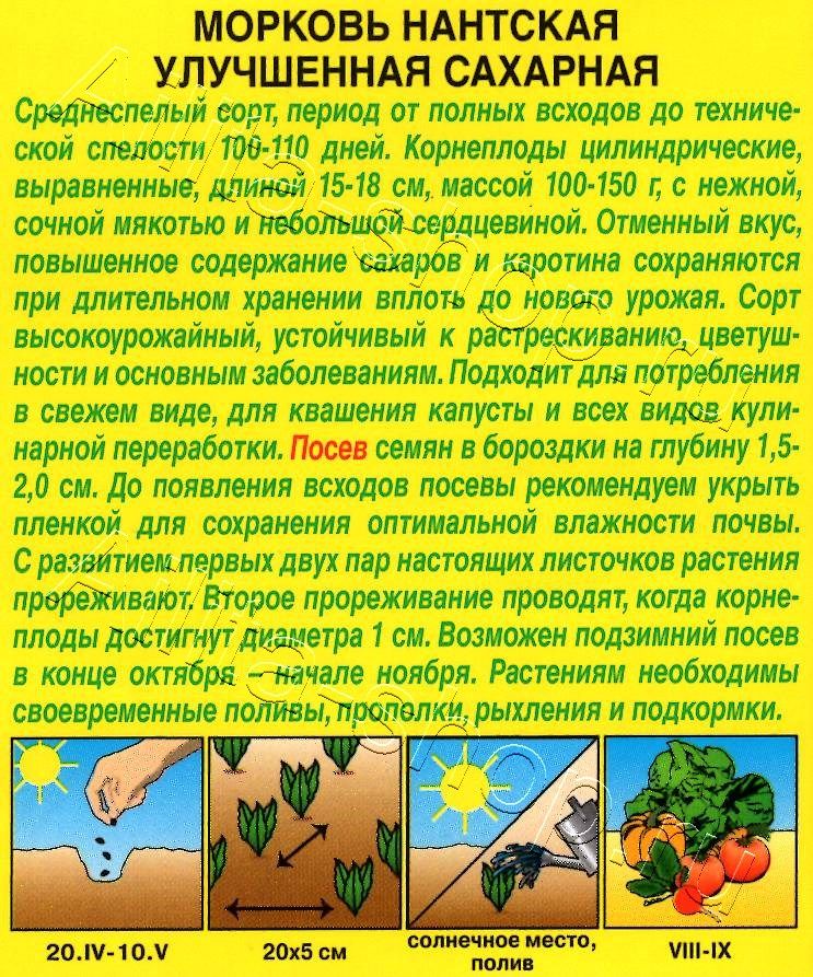 Морковь Нантская улучшенная сахарная 2г