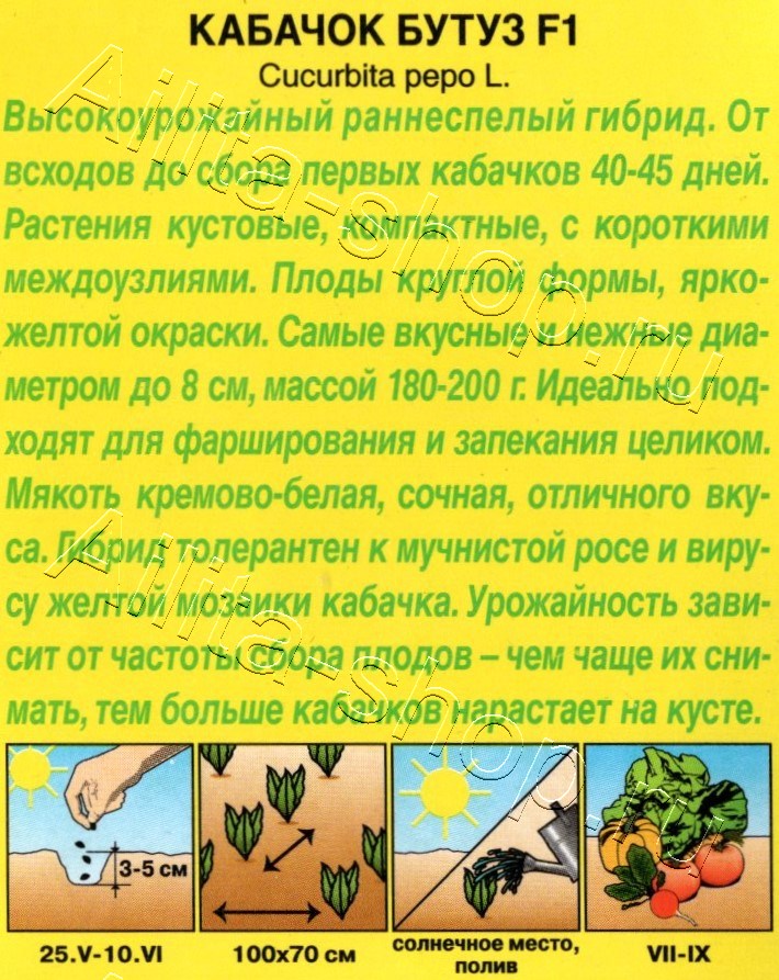 Кабачок цуккини Бутуз F1 5шт