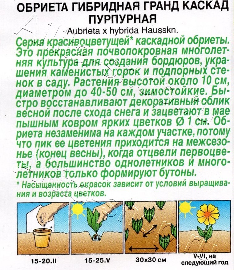 Обриета Гранд каскад пурпурная 0,05г