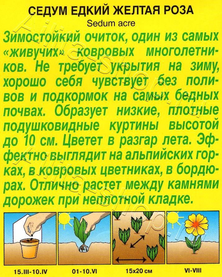 Седум Желтая роза 0,03г