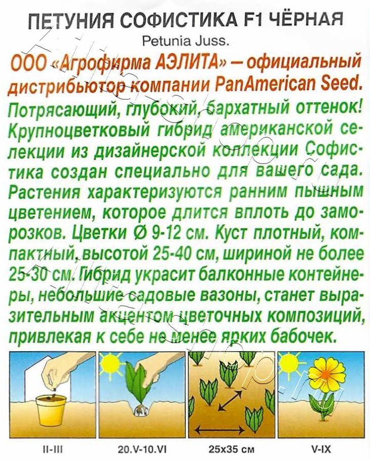 Петуния Софистика черная F1 крупноцветковая 4шт