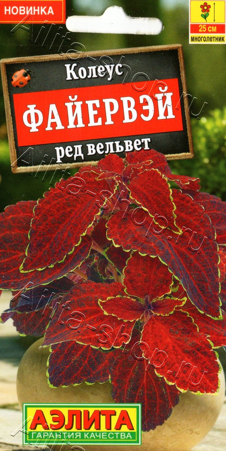 Колеус Файервэй ред вельвет 5шт
