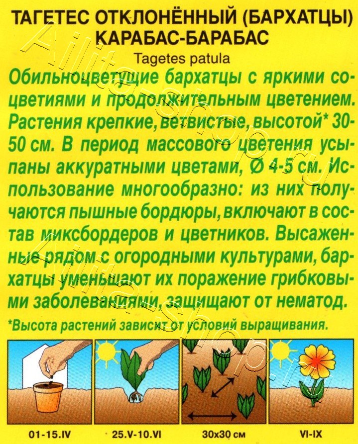 Бархатцы Карабас-Барабас отклоненные 0,3г