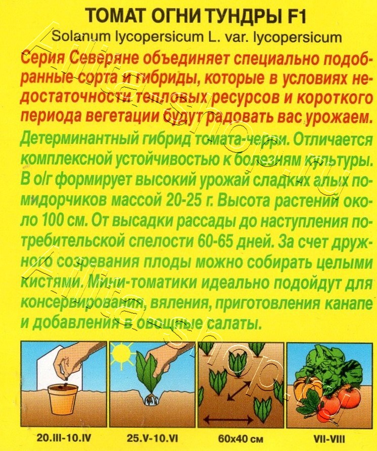Томат Огни тундры F1 7шт