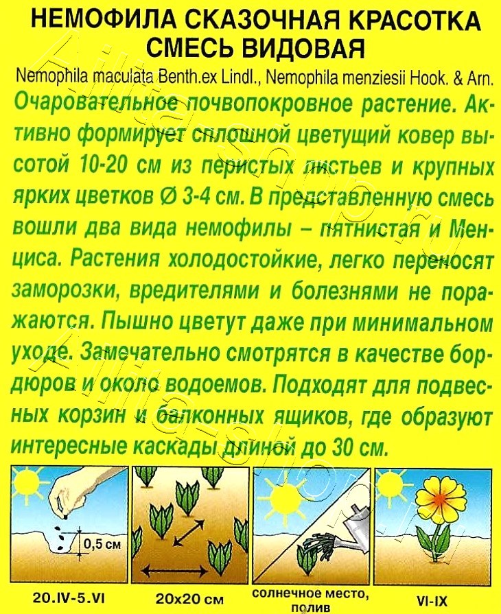 Немофила Сказочная красотка 0,2г