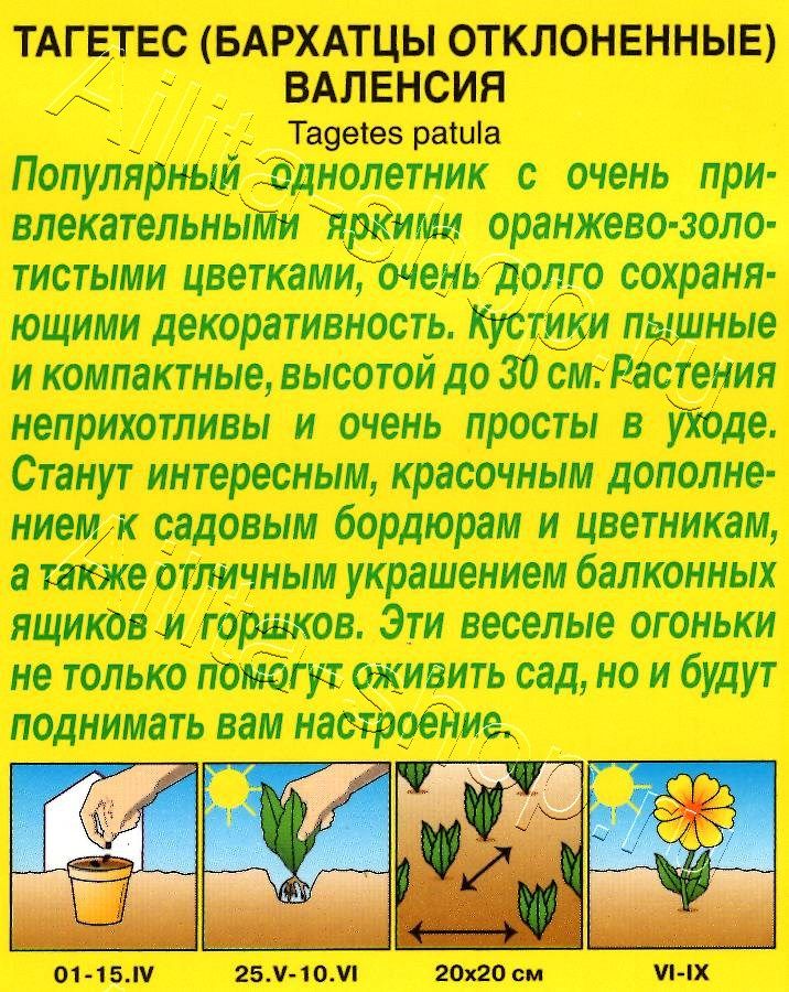 Бархатцы Валенсия отклоненные 0,3г