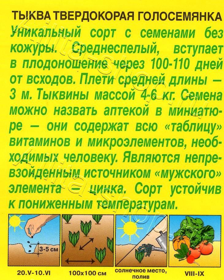 Тыква твердокорая Голосемянка 1г