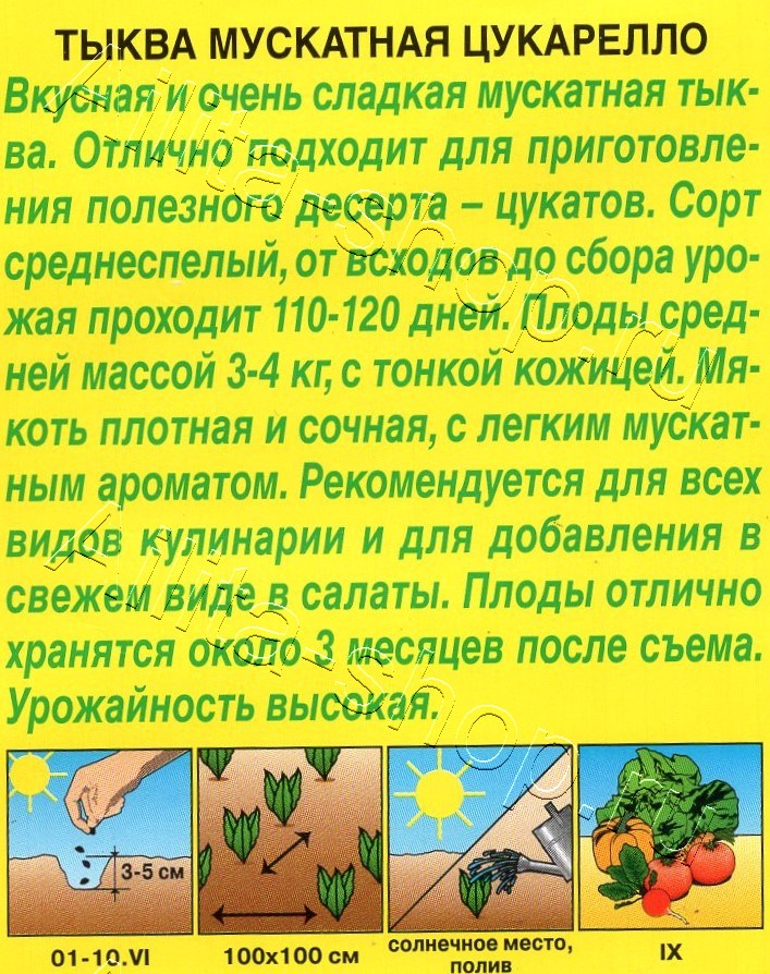 Тыква мускатная Цукарелло 1г