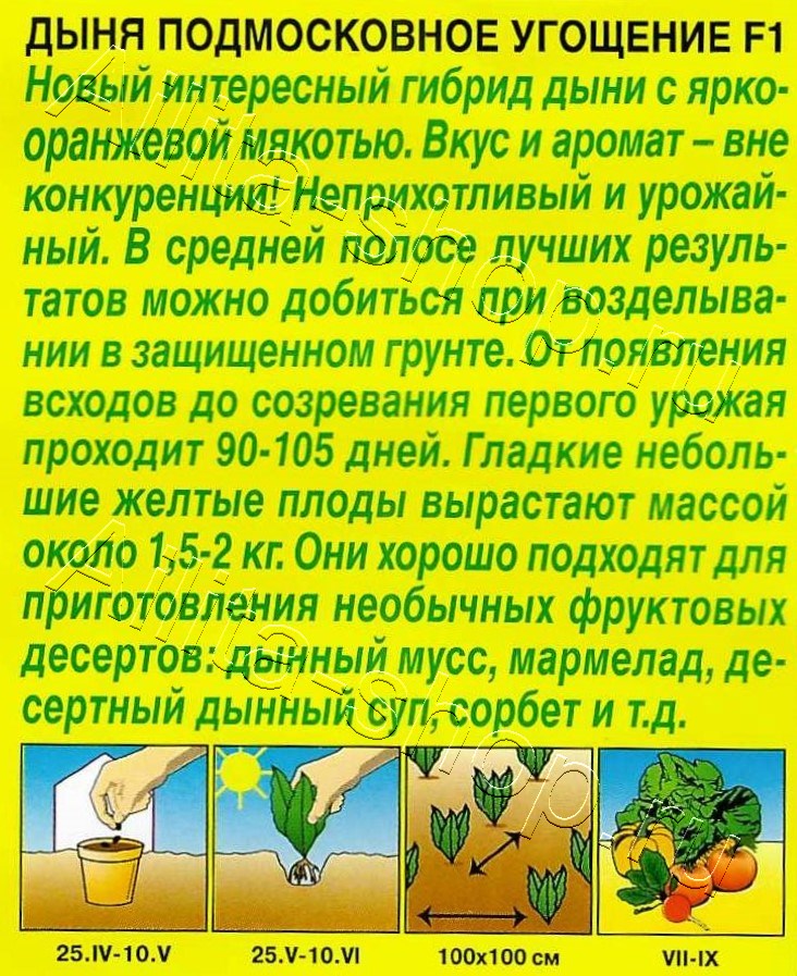 Дыня Подмосковное угощение F1 5шт