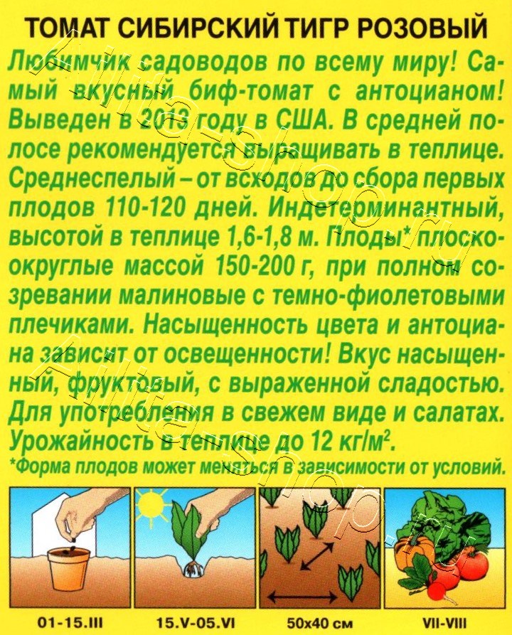 Томат Сибирский тигр розовый 0,2г