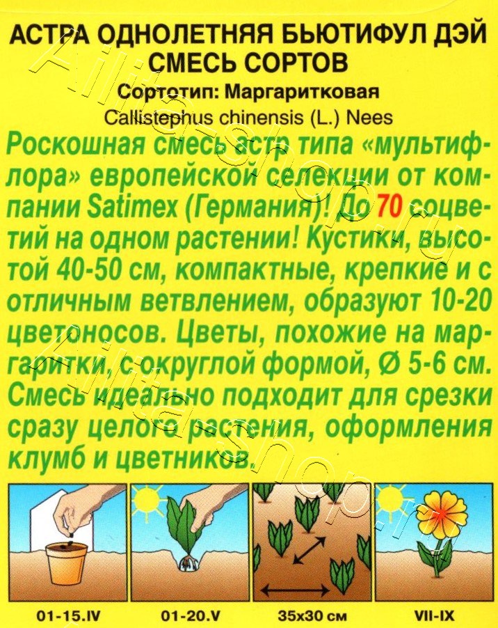 Астра Бьютифул Дэй, смесь сортов 25шт