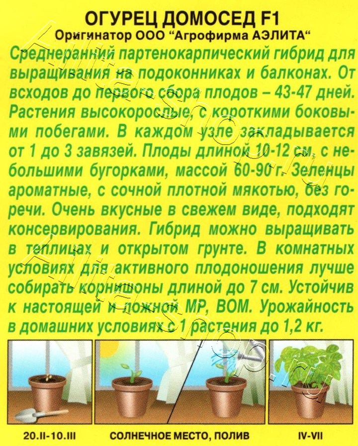 Огурец Домосед F1 7шт