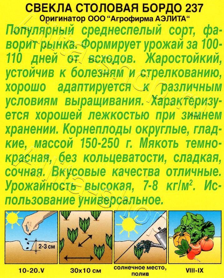 Свекла столовая Бордо 237 3г