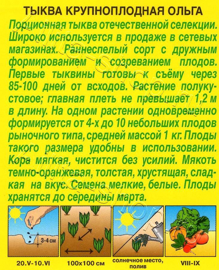 Тыква крупноплодная Ольга 2г