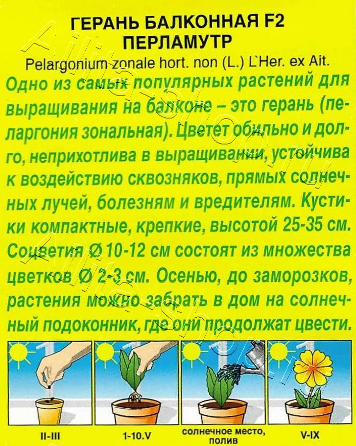 Герань Балконная перламутр F2 5шт