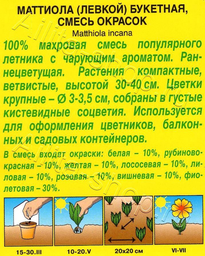 Маттиола (Левкой) Букетная, смесь окрасок 0,2г