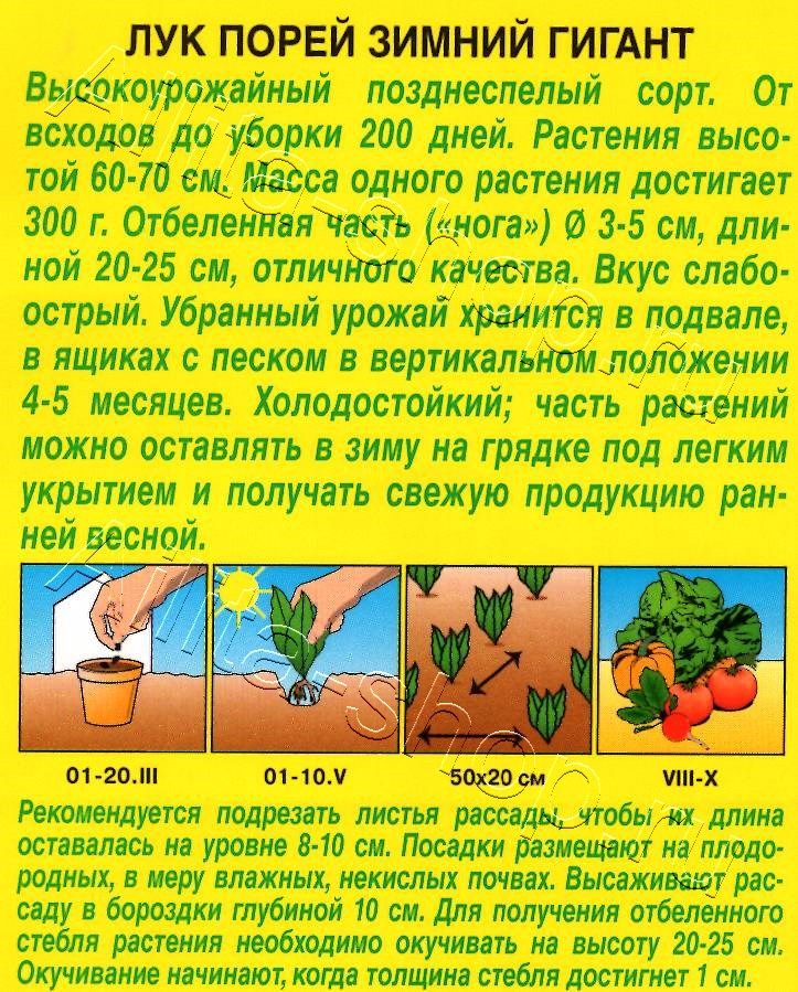 Лук порей Зимний гигант 1г