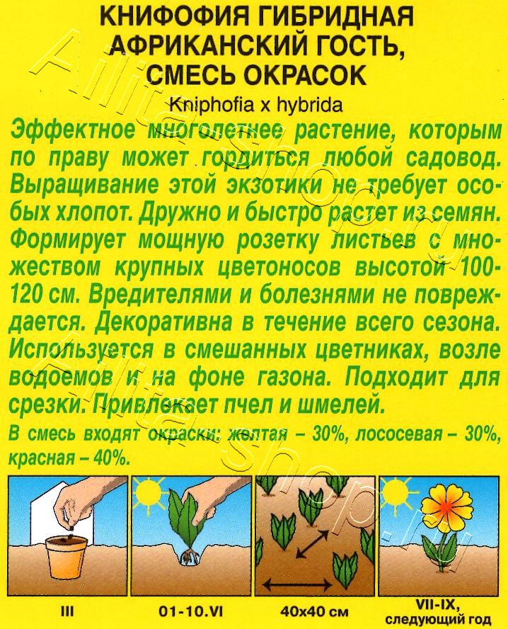 Книфофия Африканский гость, смесь сортов 30шт