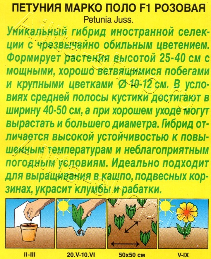 Петуния Марко Поло F1 розовая 7шт