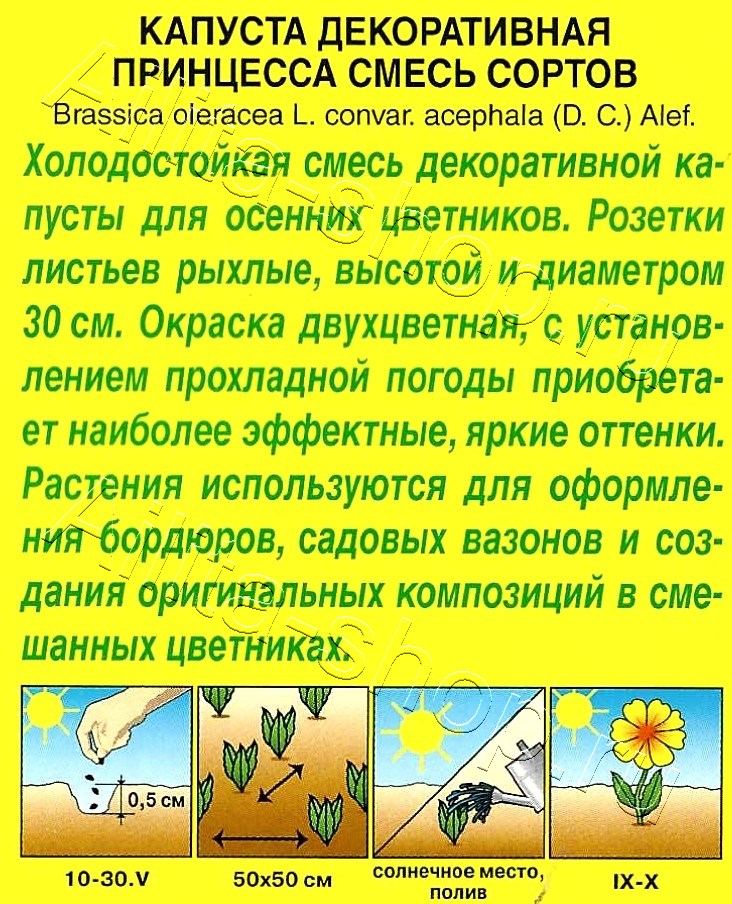 Капуста декоративная Принцесса, смесь окрасок 0,1г