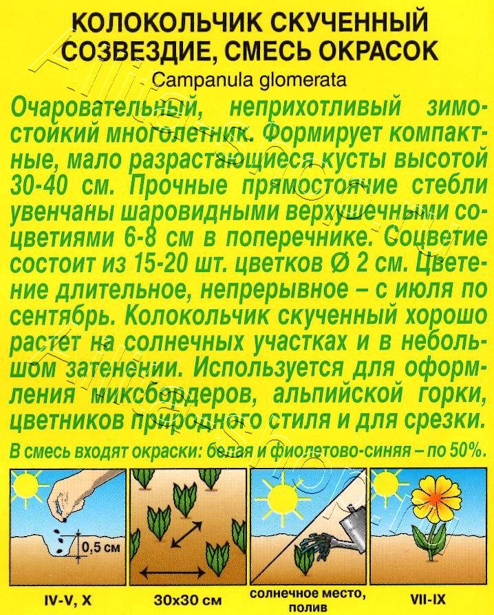 Колокольчик Созвездие, смесь окрасок 0,05г