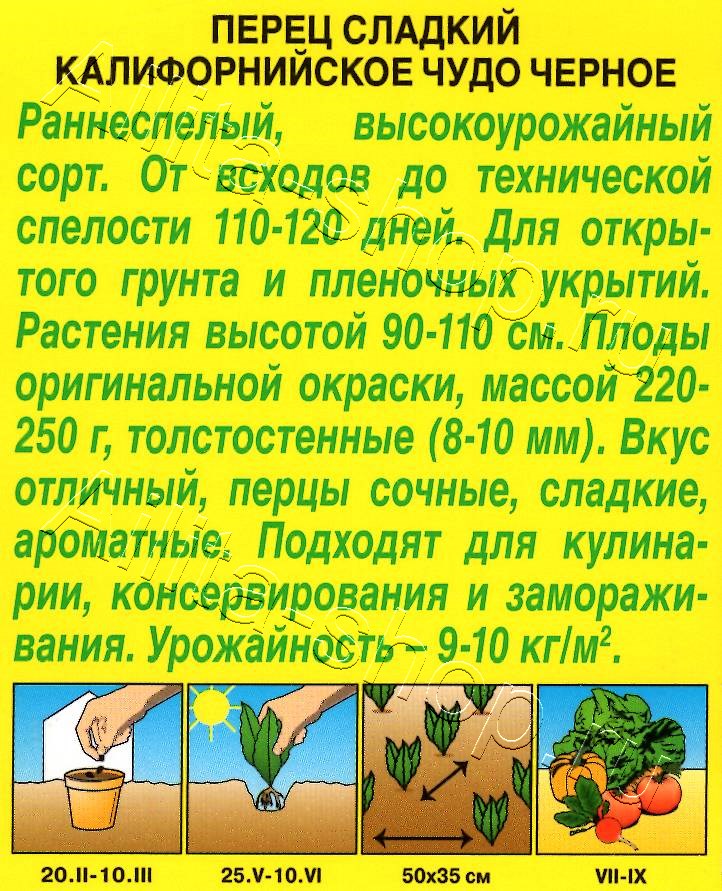 Перец сладкий Калифорнийское чудо черное 20шт