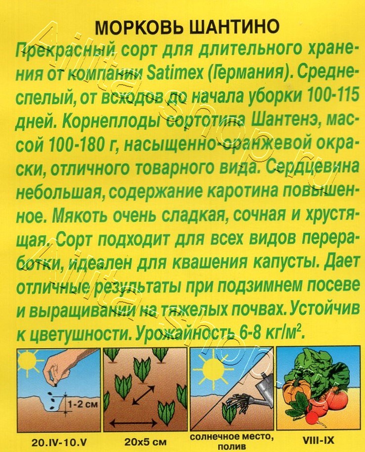 Морковь Шантино 2г