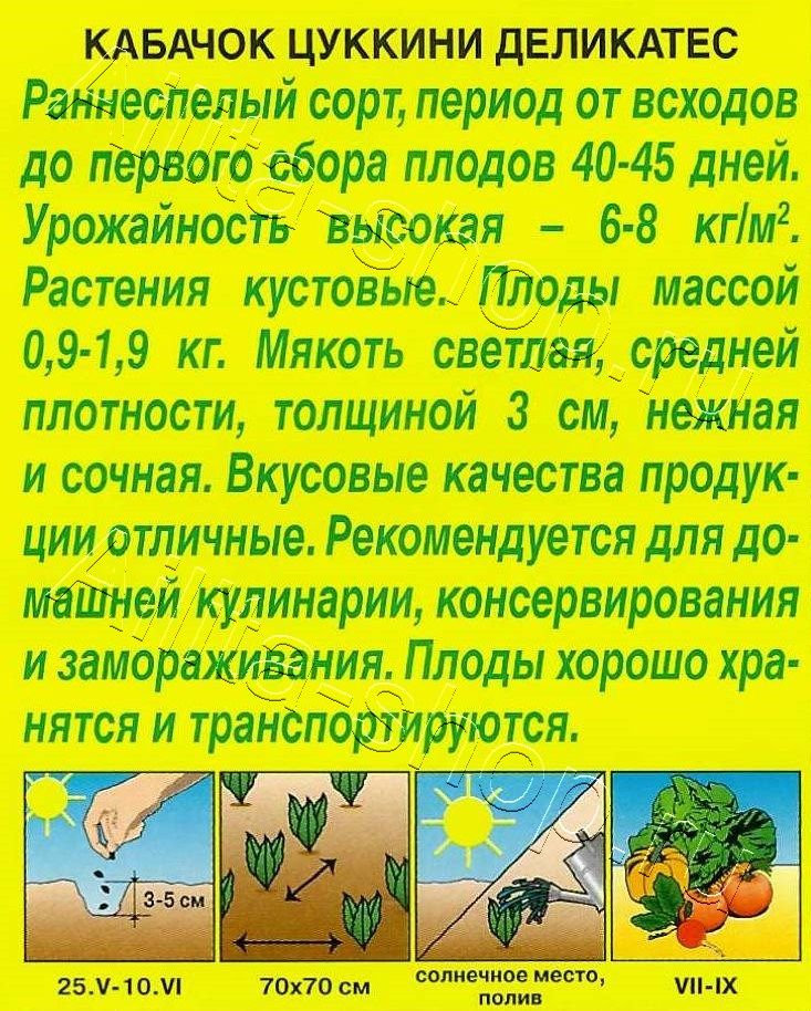 Кабачок цуккини Деликатес 2г