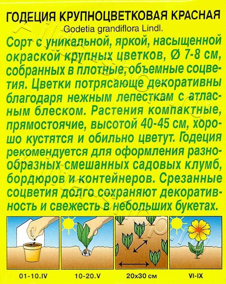 Годеция красная 0,05г